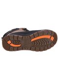 Miniaturansicht Icepeak, Alofi MR Schneeschuhe Herren Brown braun 
