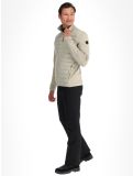Miniaturansicht Icepeak, Purvis Jacke Herren Dust grau 