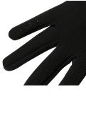 Miniaturansicht The North Face, W Etip Recycled Glove Skihandschuhe Damen TNF Black schwarz 